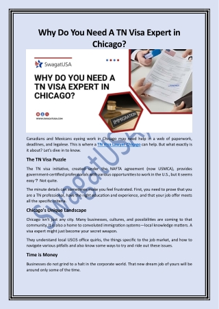 Why Do You Need A TN Visa Expert in Chicago?