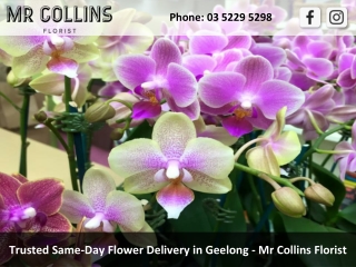 Trusted Same-Day Flower Delivery in Geelong - Mr Collins Florist