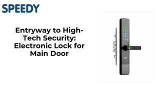 entryway to high tech security electronic lock for main door