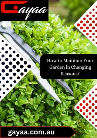 How to Maintain Your Garden in Changing Seasons