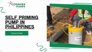 Self Priming Pump In Philippines - cosmos pumps