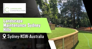 Expert Landscaping Maintenance Services| Construction Landscaping Near You in Sy