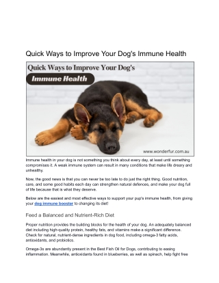 Quick Ways to Improve Your Dog's Immune Health