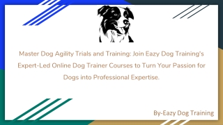 Dog Agility Trial