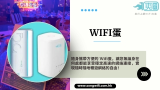 Wifi蛋