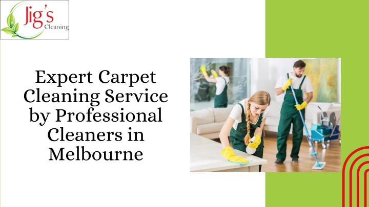 expert carpet cleaning service by professional