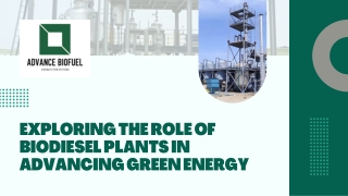 Exploring the Role of Biodiesel Plants in Advancing Green Energy