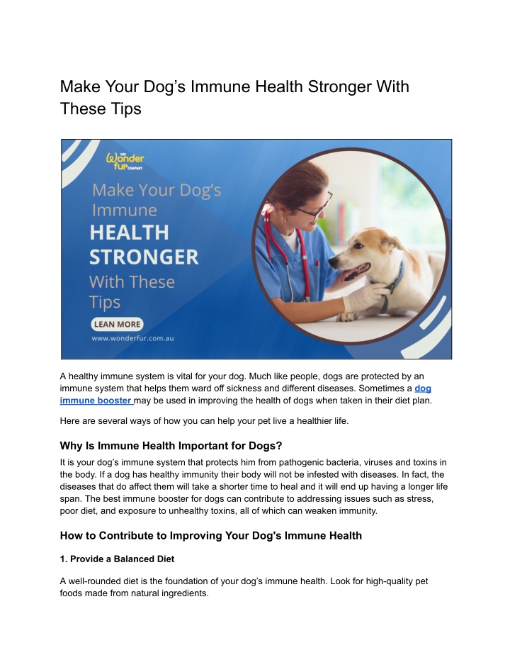 make your dog s immune health stronger with these