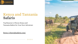 Top Reasons to Choose Kenya and Tanzania Safaris for Your Next Adventure