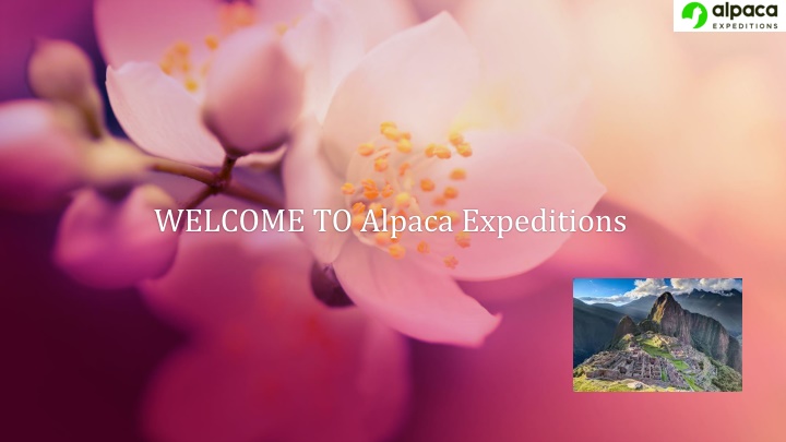 welcome to alpaca expeditions