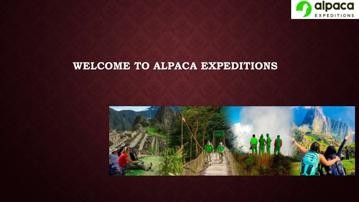 welcome to alpaca expeditions