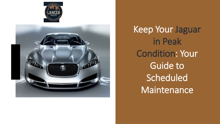 keep your jaguar in peak condition your guide