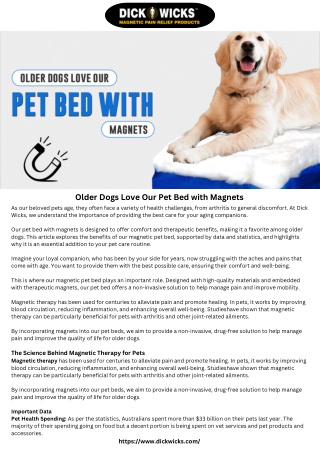 Older Dogs Love Our Pet Bed with Magnets