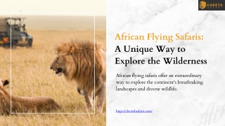 African Flying Safaris A Unique Way to Explore the Wilderness