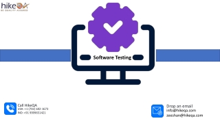 software testing
