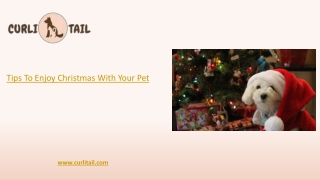 Tips To Enjoy Christmas With Your Pets