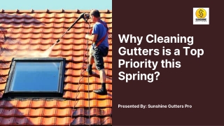 Why Cleaning Gutters is a Top Priority this Spring?