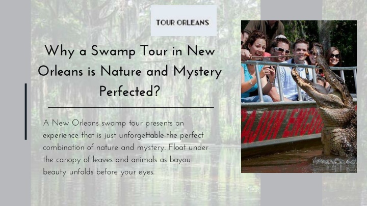 why a swamp tour in new orleans is nature