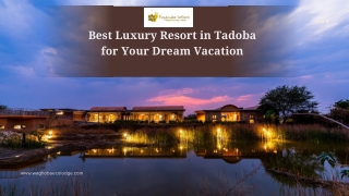 best luxury resort in tadoba for your dream vacation