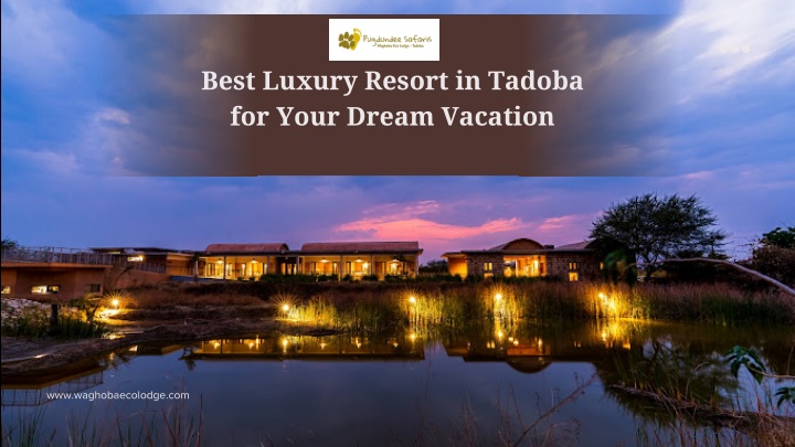 best luxury resort in tadoba for your dream