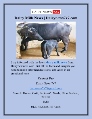 Dairy Milk News  Dairynews7x7.com