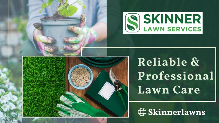 reliable professional lawn care