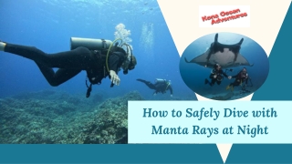 How to Safely Dive with Manta Rays at Night