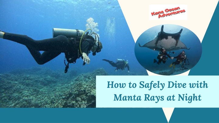 how to safely dive with manta rays at night