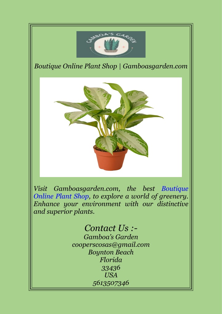 boutique online plant shop gamboasgarden com