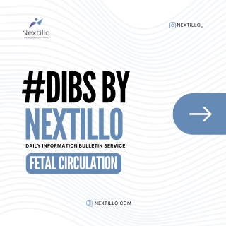 Fetal Circulation | Dibs | Nextillo