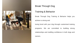 Puppy Training Dallas