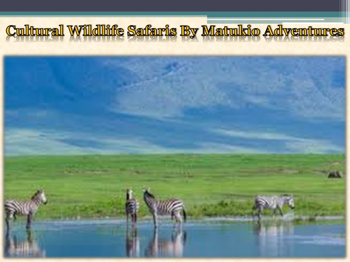 cultural wildlife safaris by matukio adventures