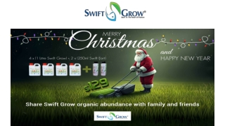 Brighten Gardens This Christmas with Swift Grow Organic Products