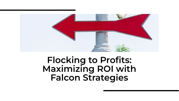 flocking to profits maximizing roi with falcon