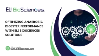 optimizing anaerobic digester performance with