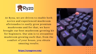 Discover the Best Mushroom-growing Growing Kits with Ryza