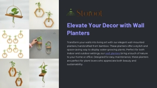 elevate your decor with wall planters