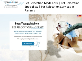 pet relocation made easy pet relocation