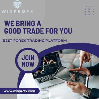 Your Forex Trading Success Starts with the Right Platform