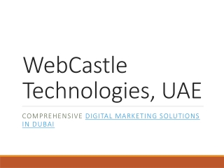 WebCastle_Technologies_Presentation