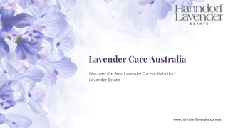 Lavender Care Australia