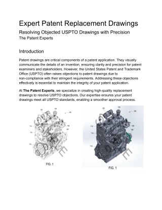 Expert Patent Replacement Drawings | Resolve Objected USPTO Drawings | TPE