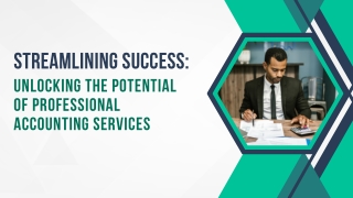 Unlocking the Potential of Professional Accounting Services