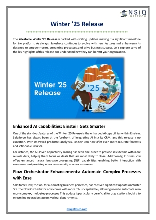 Salesforce Winter ’25 Release