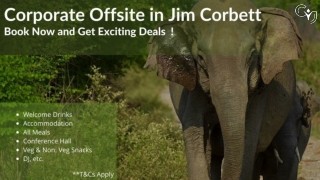 Elevate Your Corporate Offsite Experience with CYJ Events in Jim Corbett