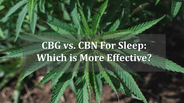 cbg vs cbn for sleep which is more effective