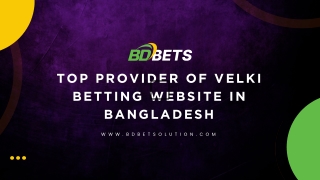top provider of velki betting website
