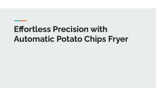 Effortless Precision with Automatic Potato Chips Fryer