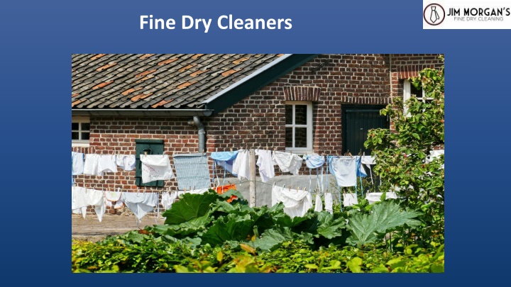 fine dry cleaners