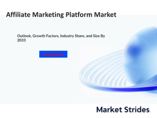 Affiliate Marketing Platform Market Insights and Forecast 2023-2033